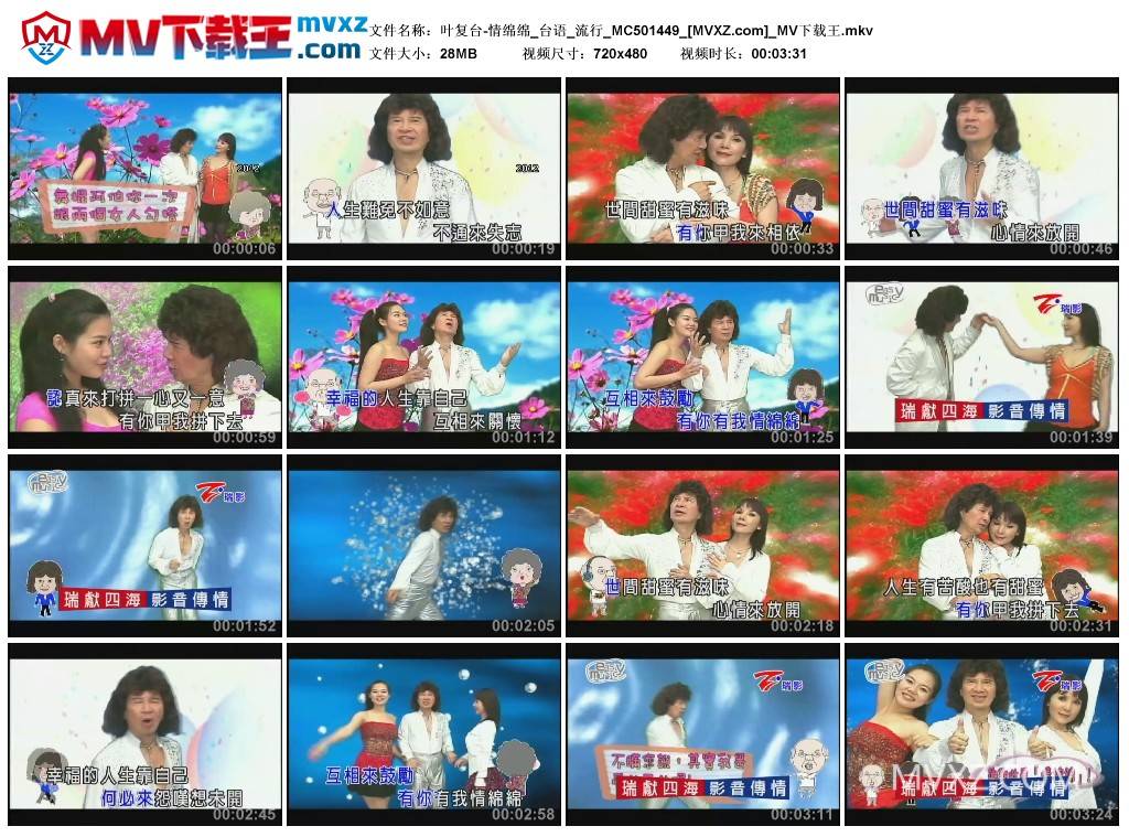 叶复台-情绵绵_台语_流行_MC501449